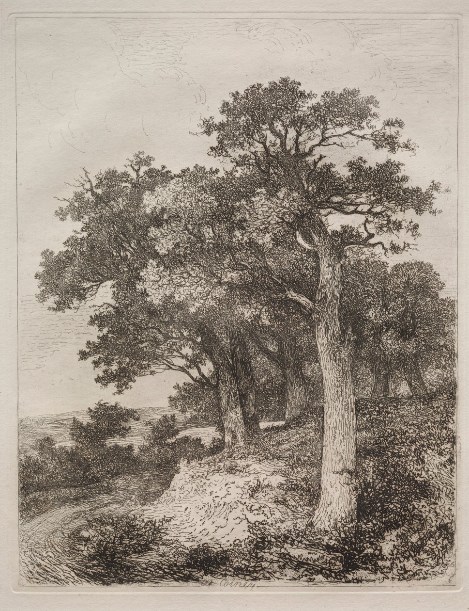 In Colney von John Crome
