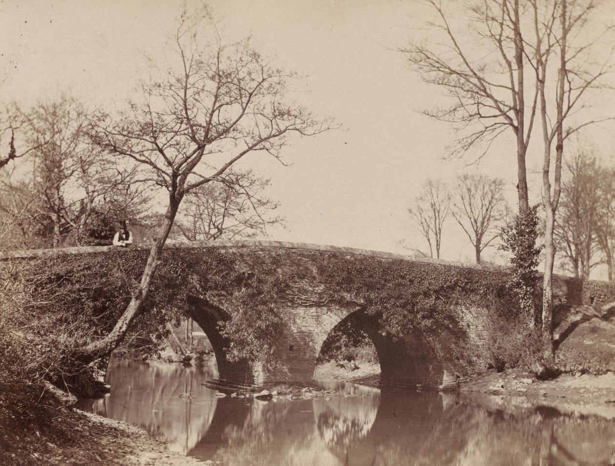 Die Landbrücke (Staplylton Bridge, Bristol) von John Dillwyn Llewelyn