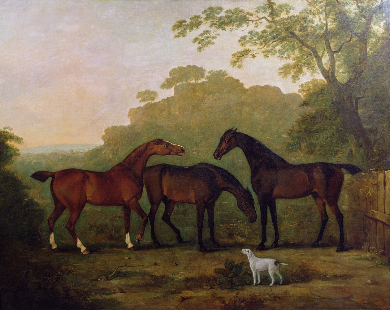 Jäger auf der Wiese von John E. Ferneley