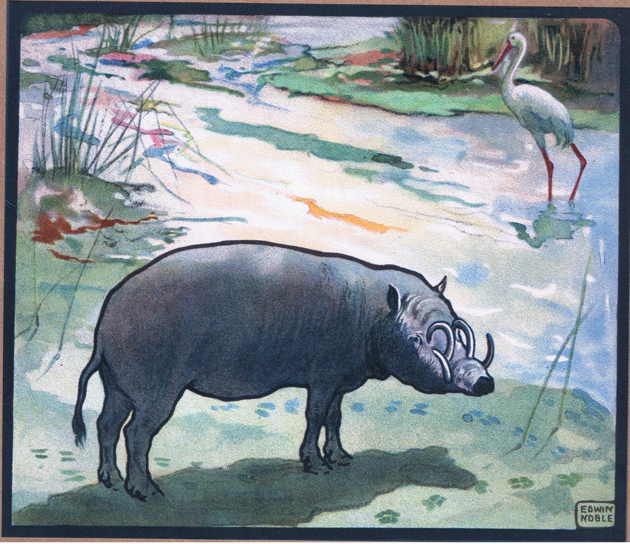 Buschschwein (Rotflussschwein) von John Edwin Noble