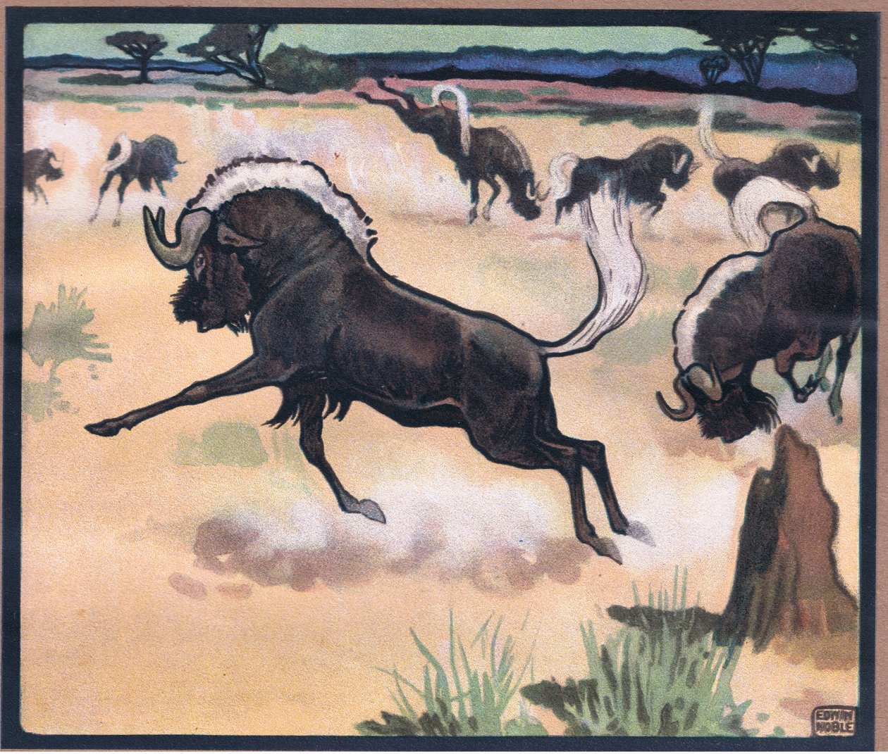 Gnu von John Edwin Noble
