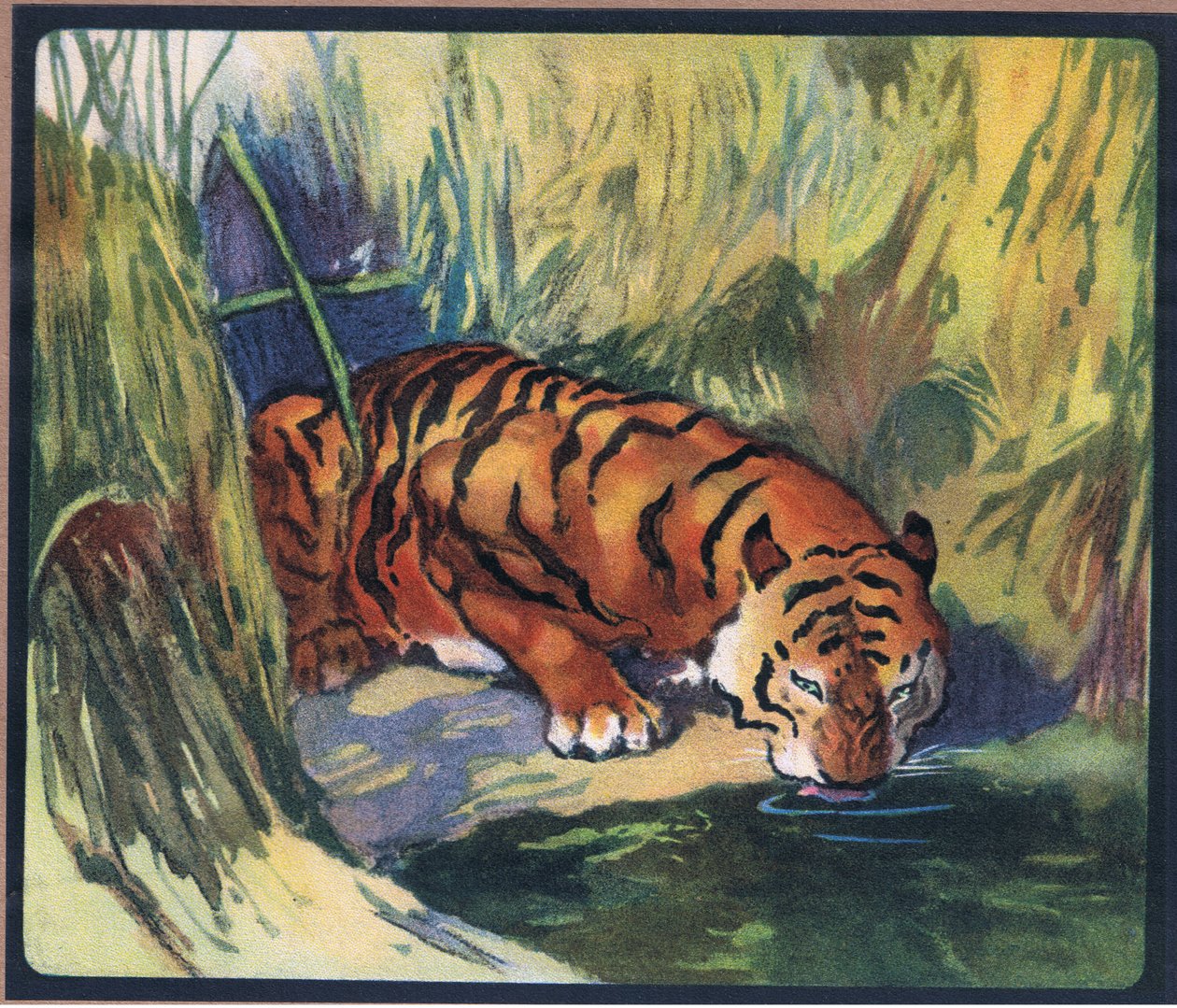 Tiger von John Edwin Noble