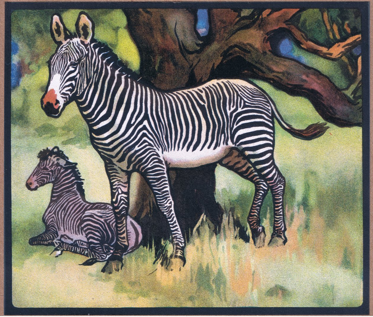 Zebras von John Edwin Noble