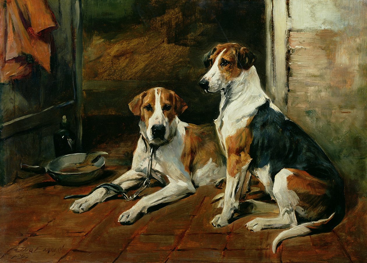 Hunde in einem Stallinneren von John Emms