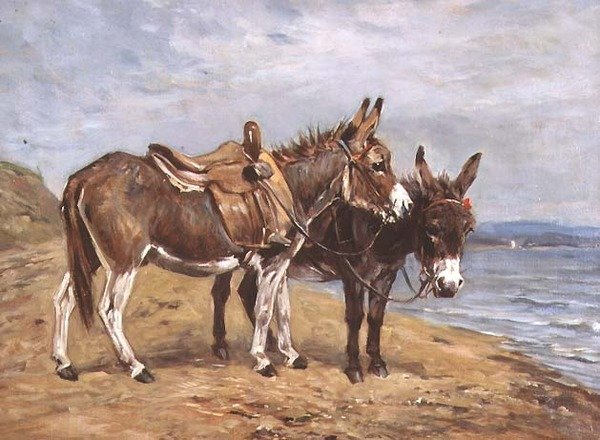 Esel am Meer von John Emms