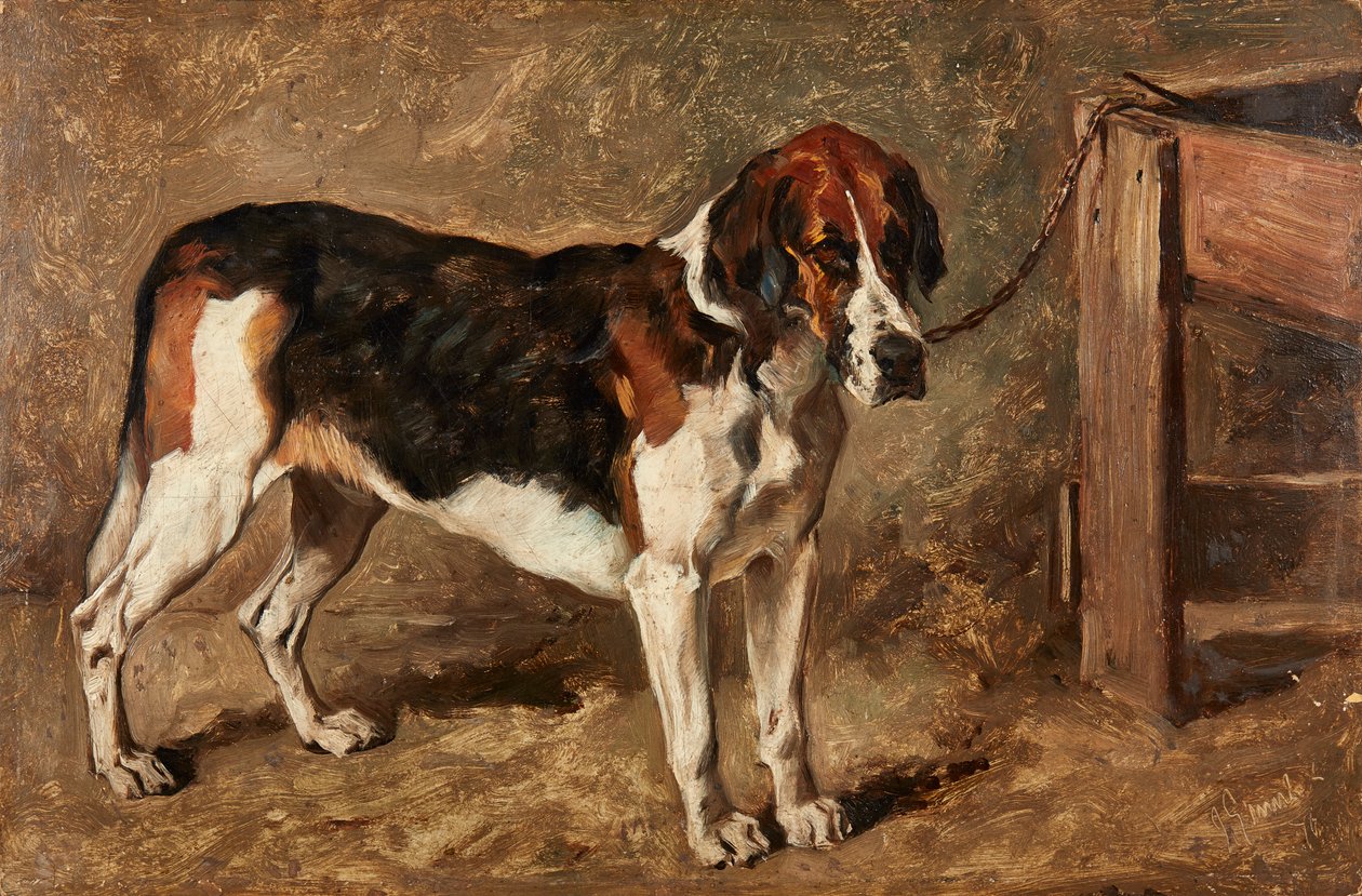 Studie eines Hundes von John Emms