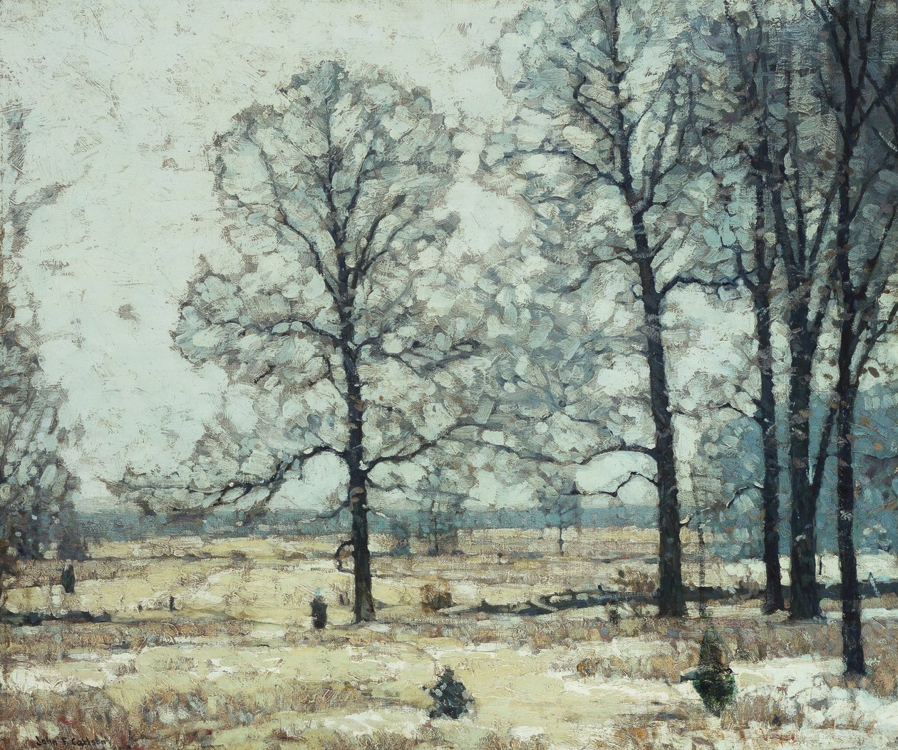 Winterhickories von John Fabian Carlson