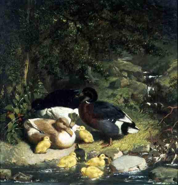 Enten und Entenküken von John Frederick Herring Senior
