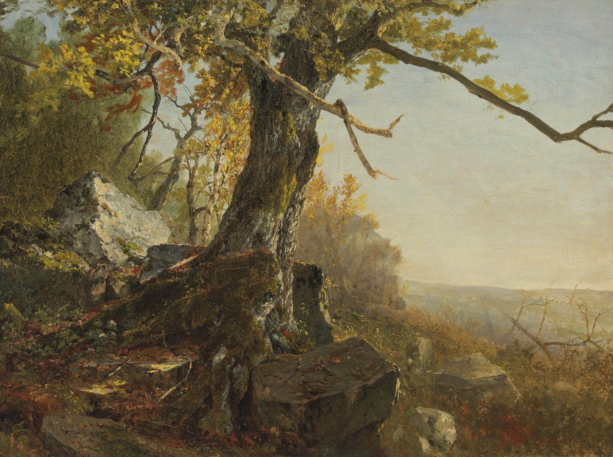 Baum in einer Landschaft von John Frederick Kensett