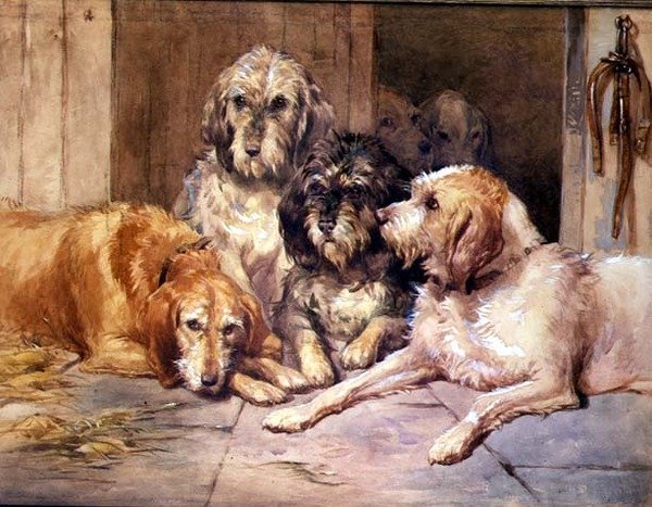 Die Otterhunde von John Frederick Tayler