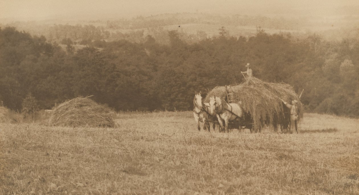 Heu laden, 1890-1900 von John G. Bullock
