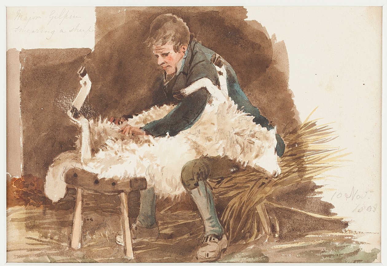 Schafe scheren, 1808 von John Harden