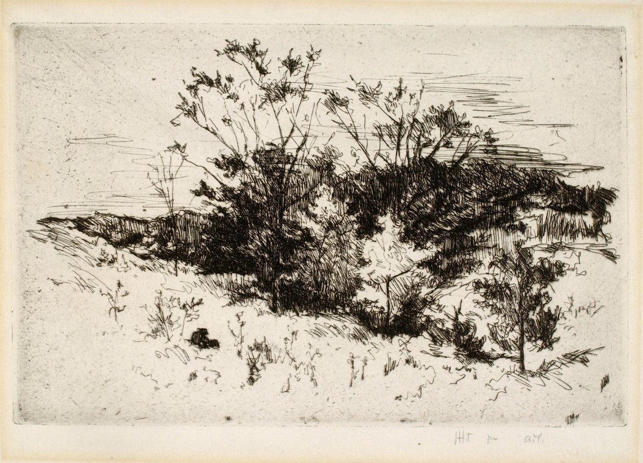 Landschaft bei Cincinnati von John Henry Twachtman