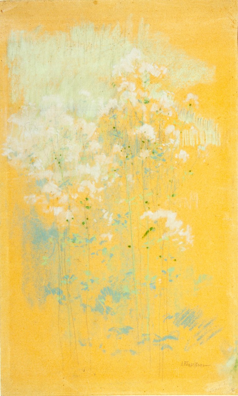 Wildblumen von John Henry Twachtman