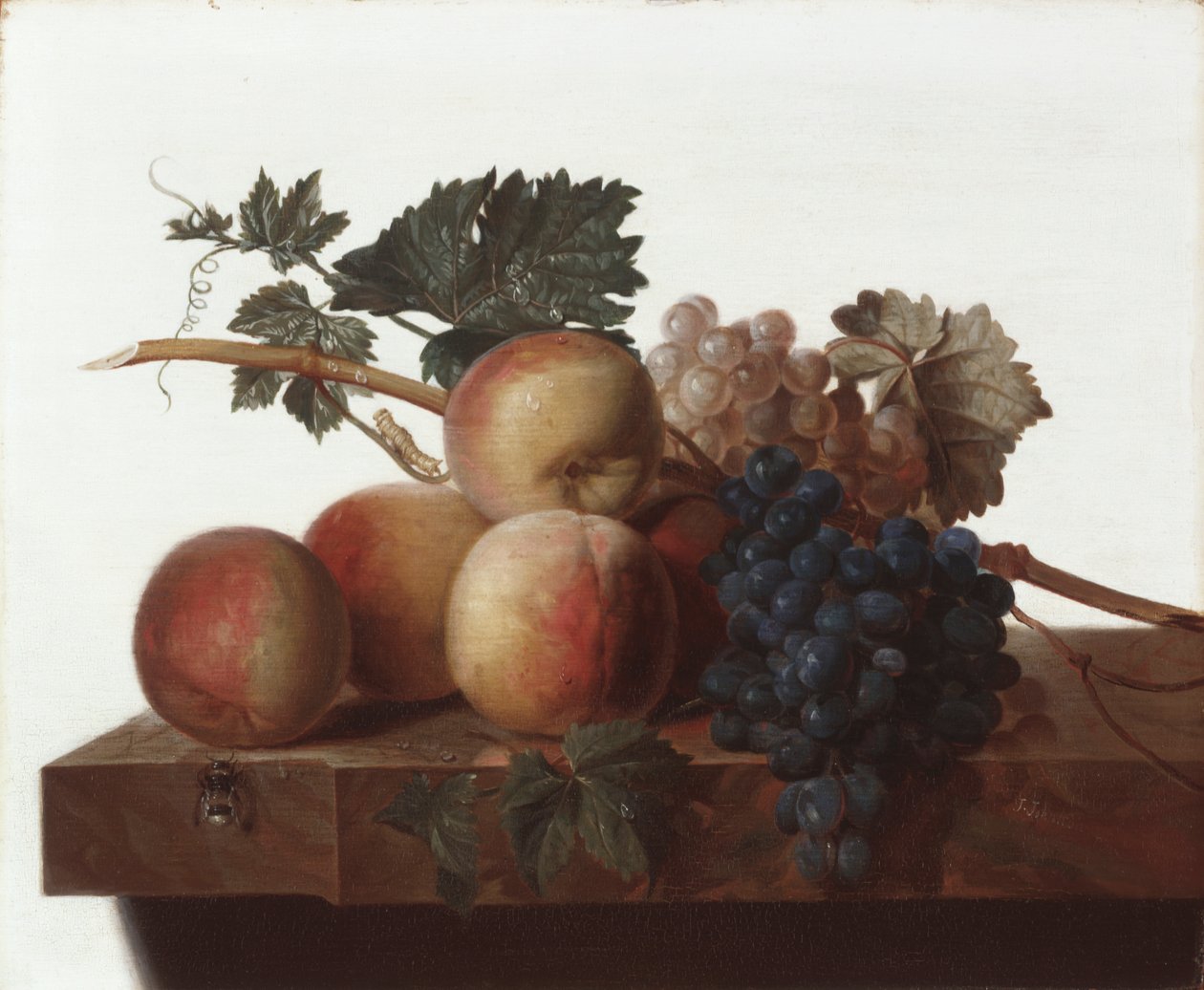 Stillleben von John Johnston