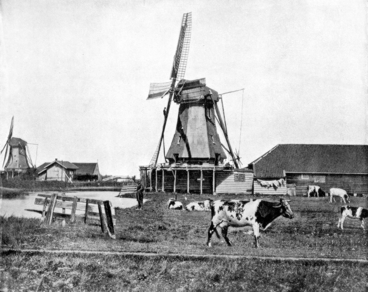 Niederländische Windmühlen, Holland, späte 19. Jahrhundert von John L. Stoddard
