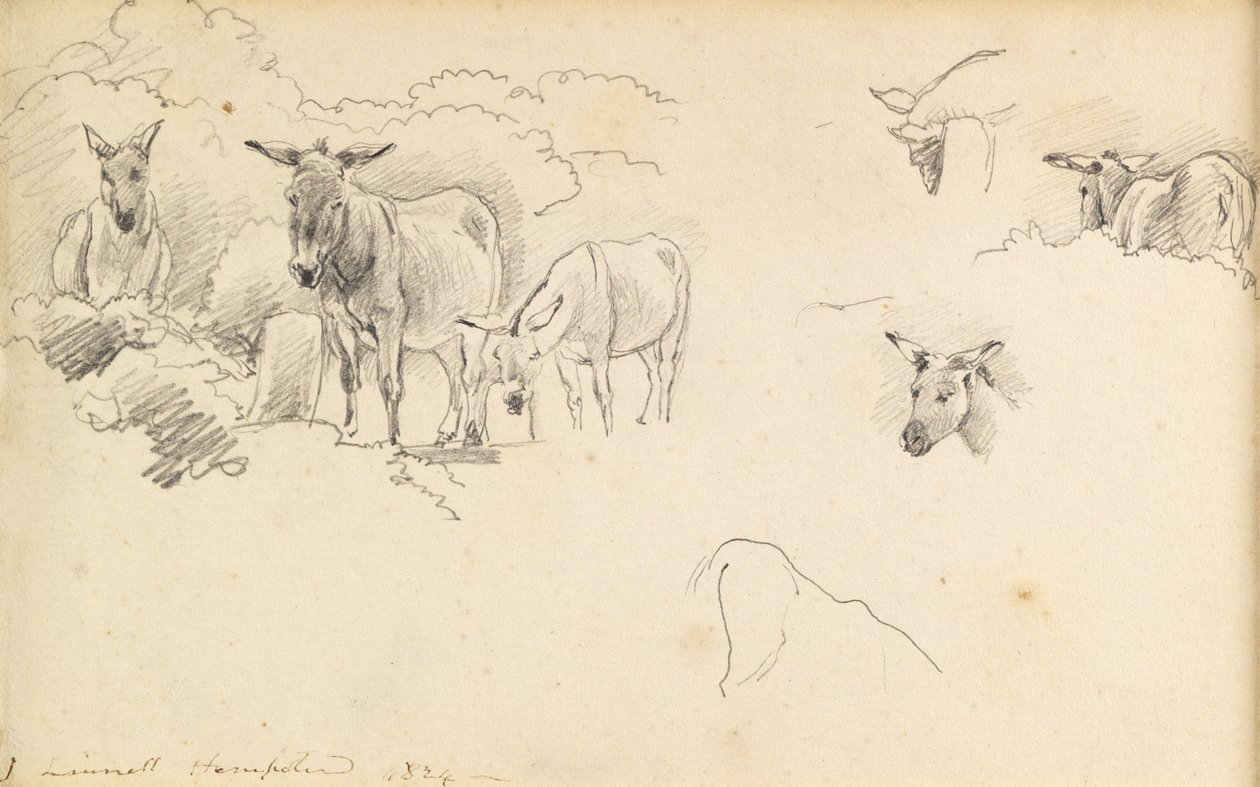 Esel, 1824 von John Linnell