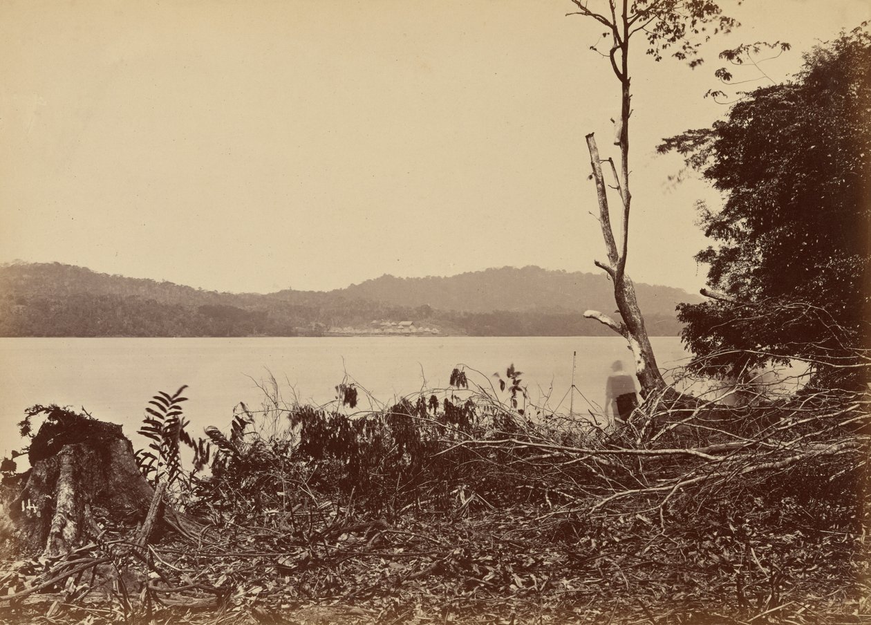 Darien Hafen, Chipigana von John Moran