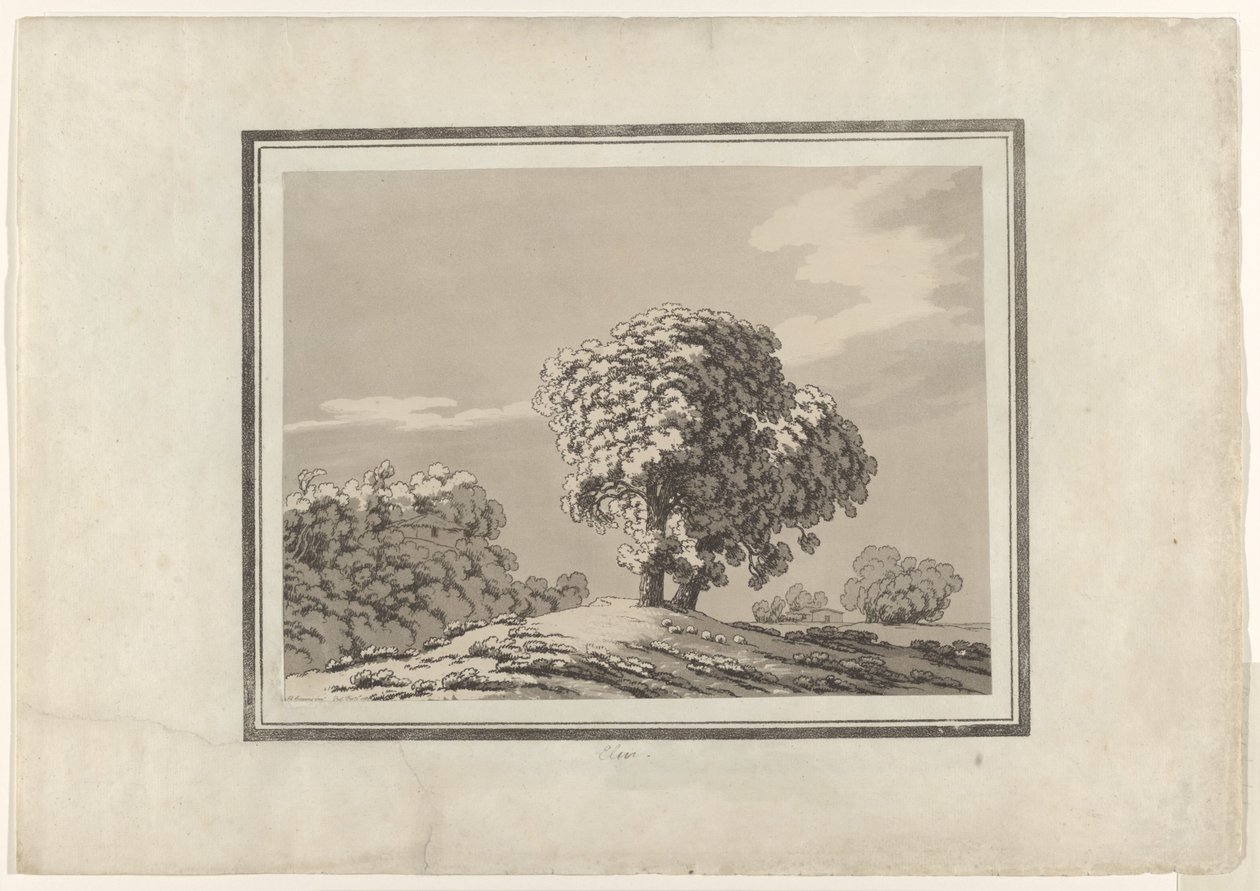 Ulme von John Robert Cozens
