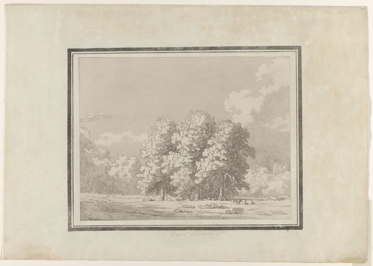 Rosskastanie von John Robert Cozens