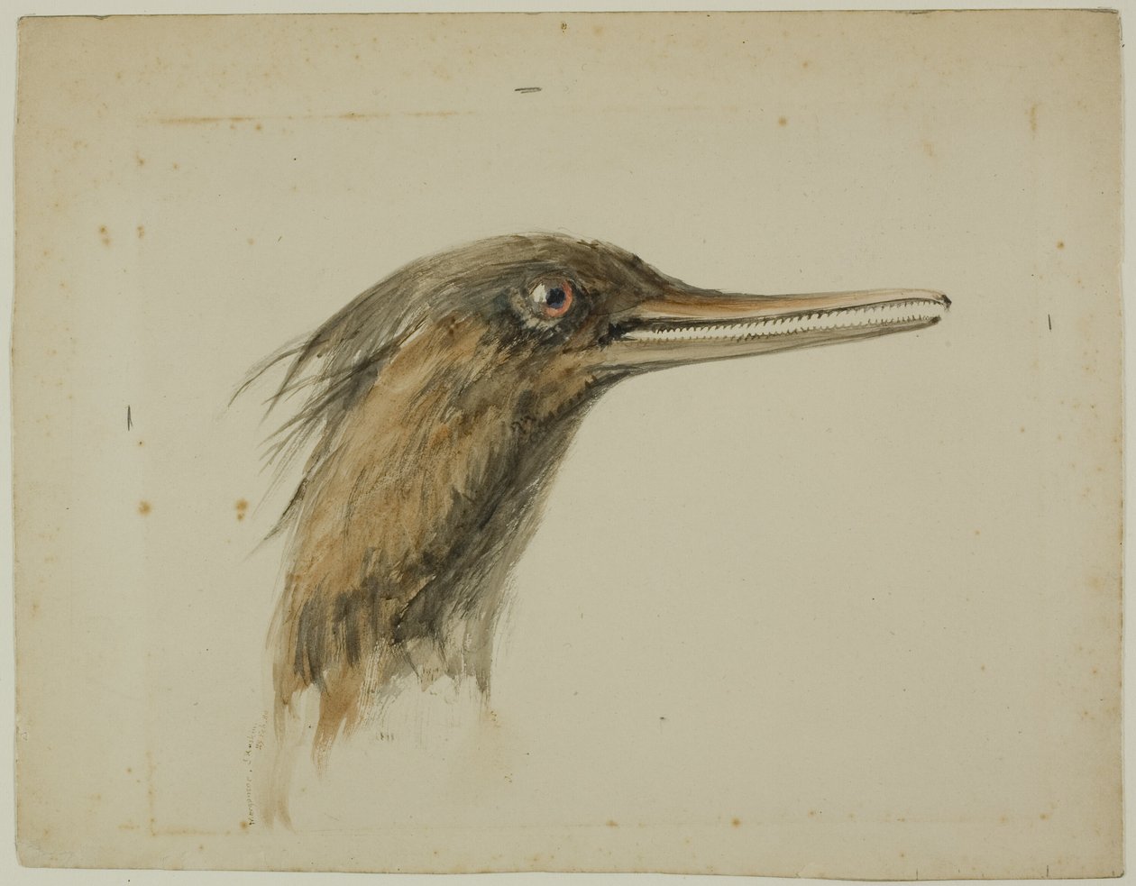 Säger von John Ruskin