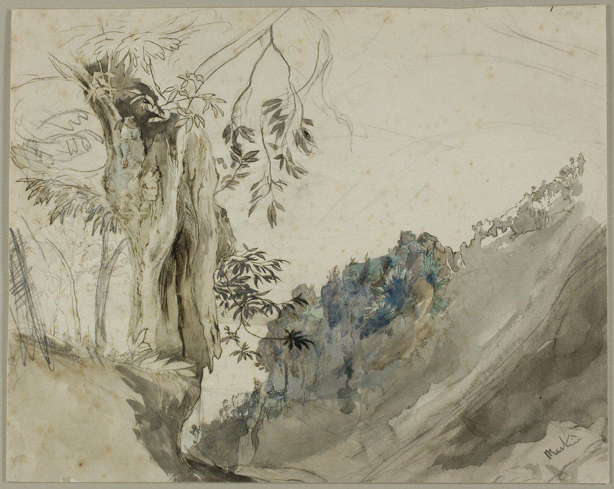 Spanische Kastanie von John Ruskin
