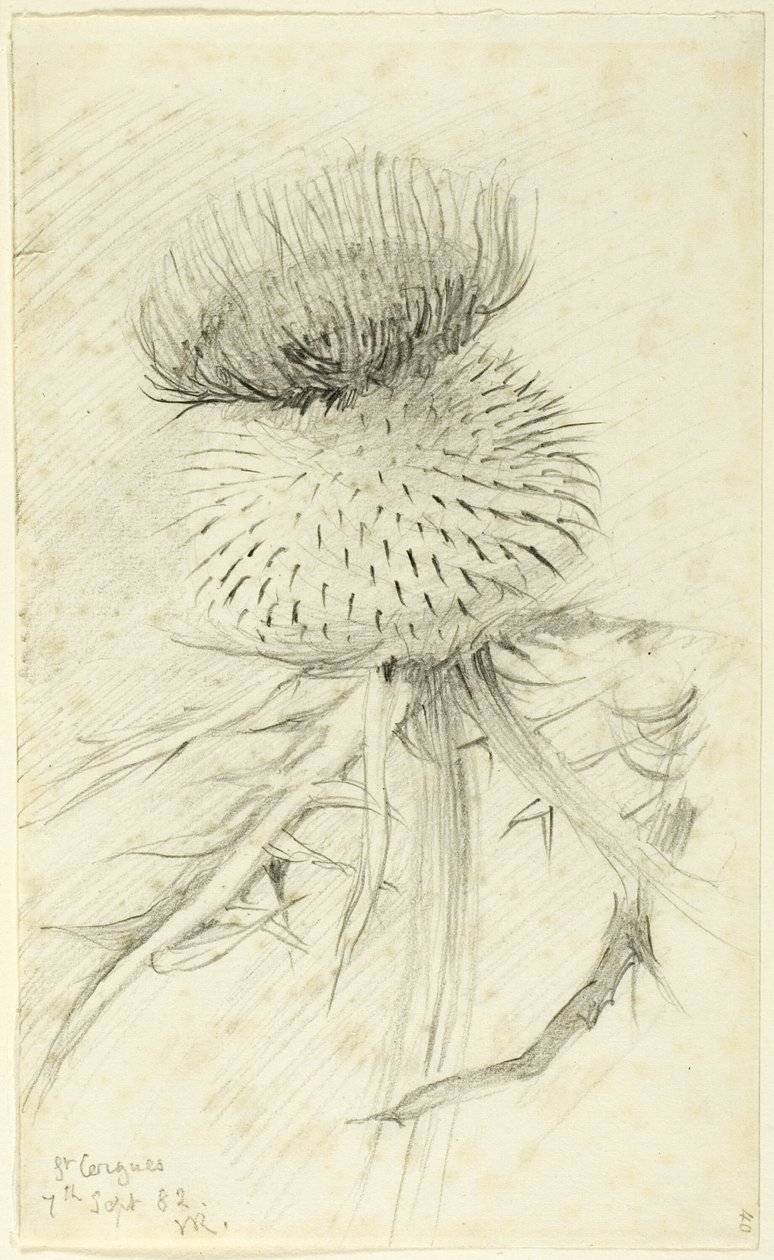 St. Cergues von John Ruskin
