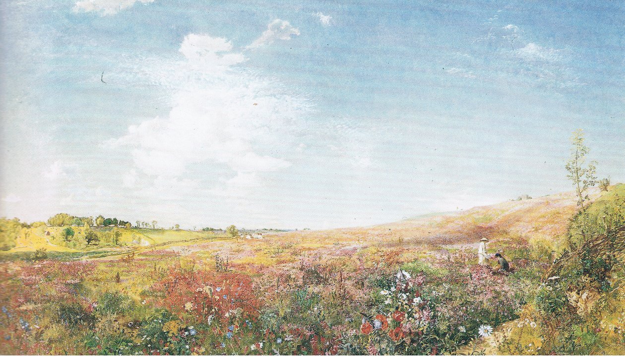 Sommerlandschaft von John Samuel Raven