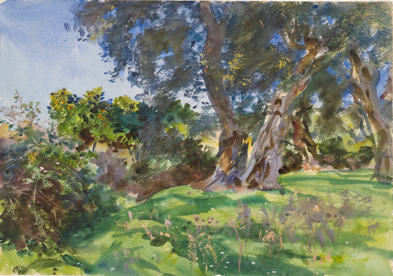 Olivenbäume, Korfu von John Singer Sargent