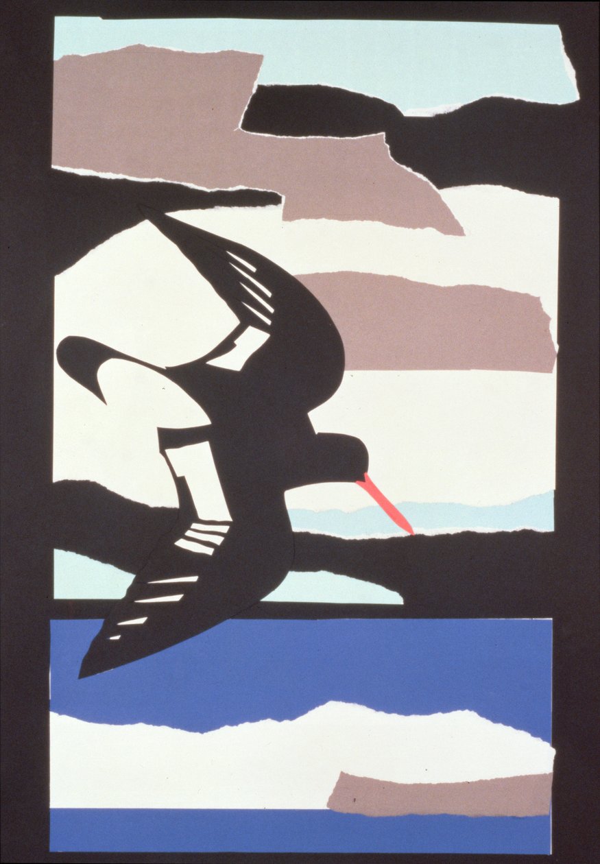 Austernfischer von John Wallington