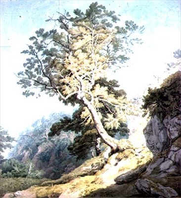 Blick in der Nähe von Canonteign, Devon von John White Abbott
