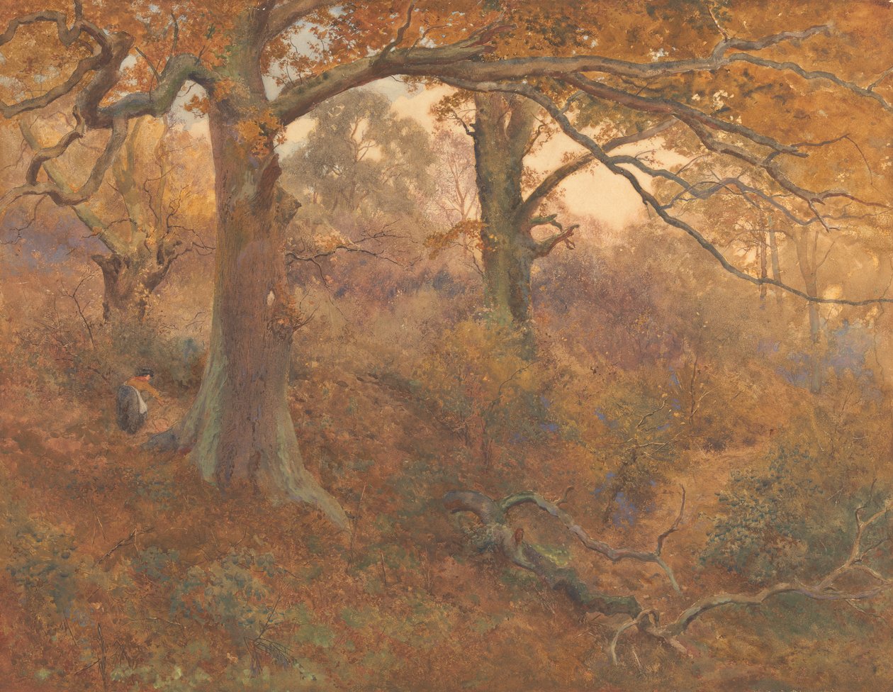 Waldlandschaft von John William North