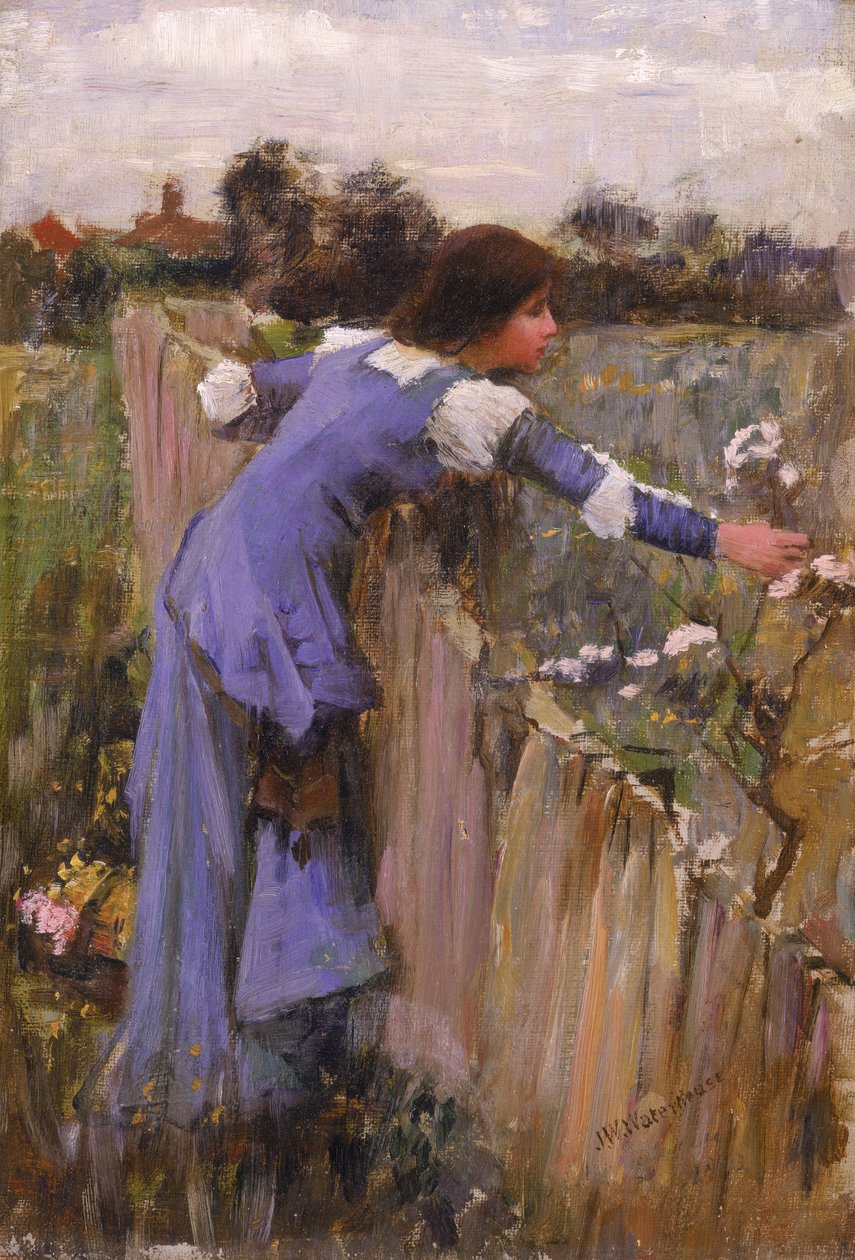 Die Blumenpflückerin von John William Waterhouse