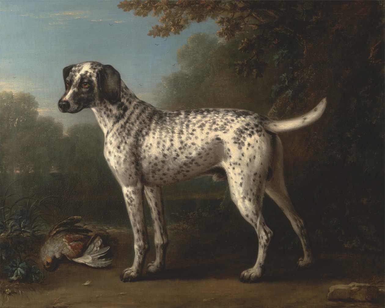Ein grau gesprenkelter Hund von John Wootton