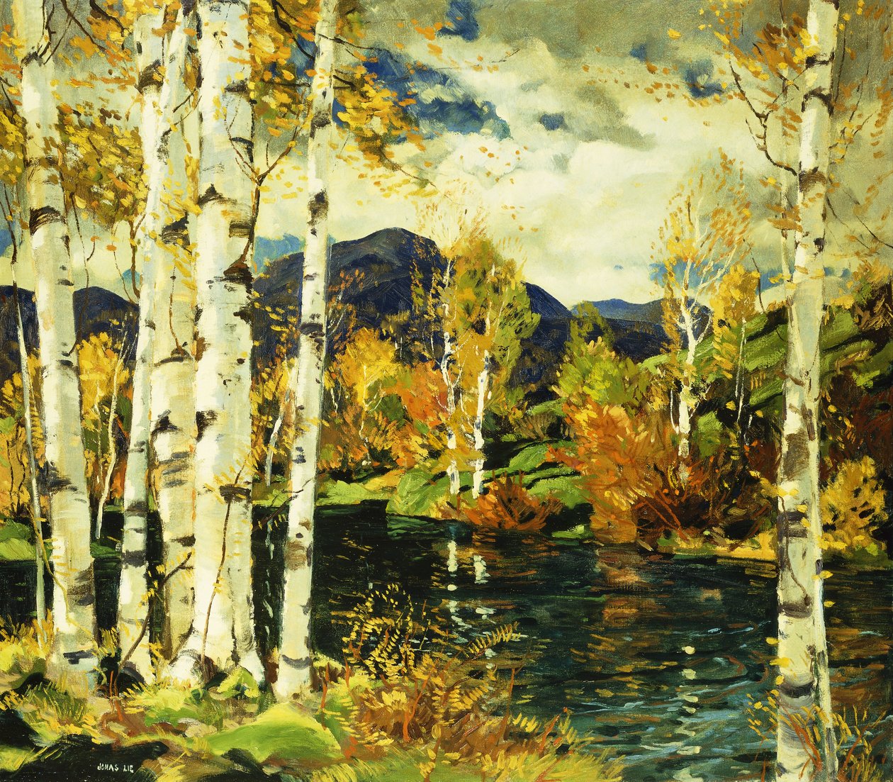 Birken von Jonas Lie