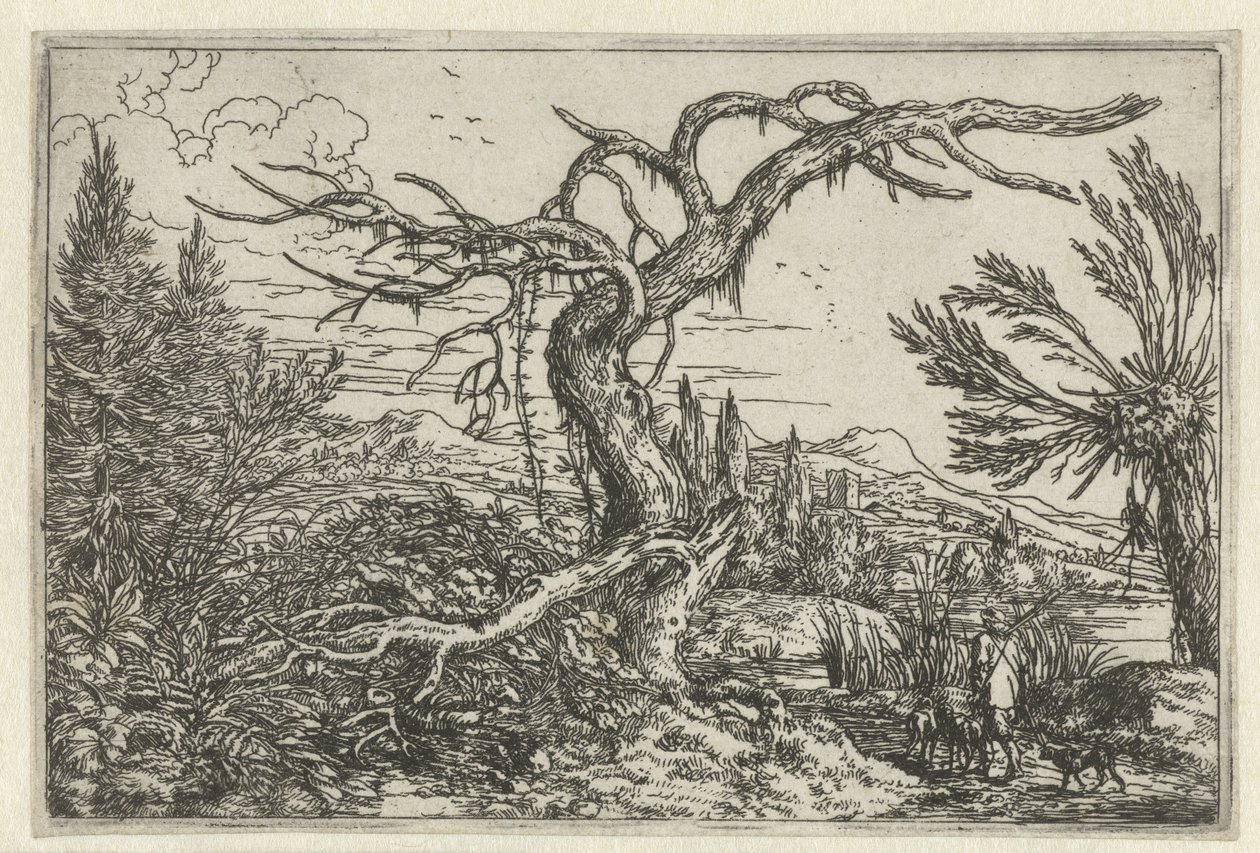 Landschaft mit dem dürren Baum von Jonas Umbach
