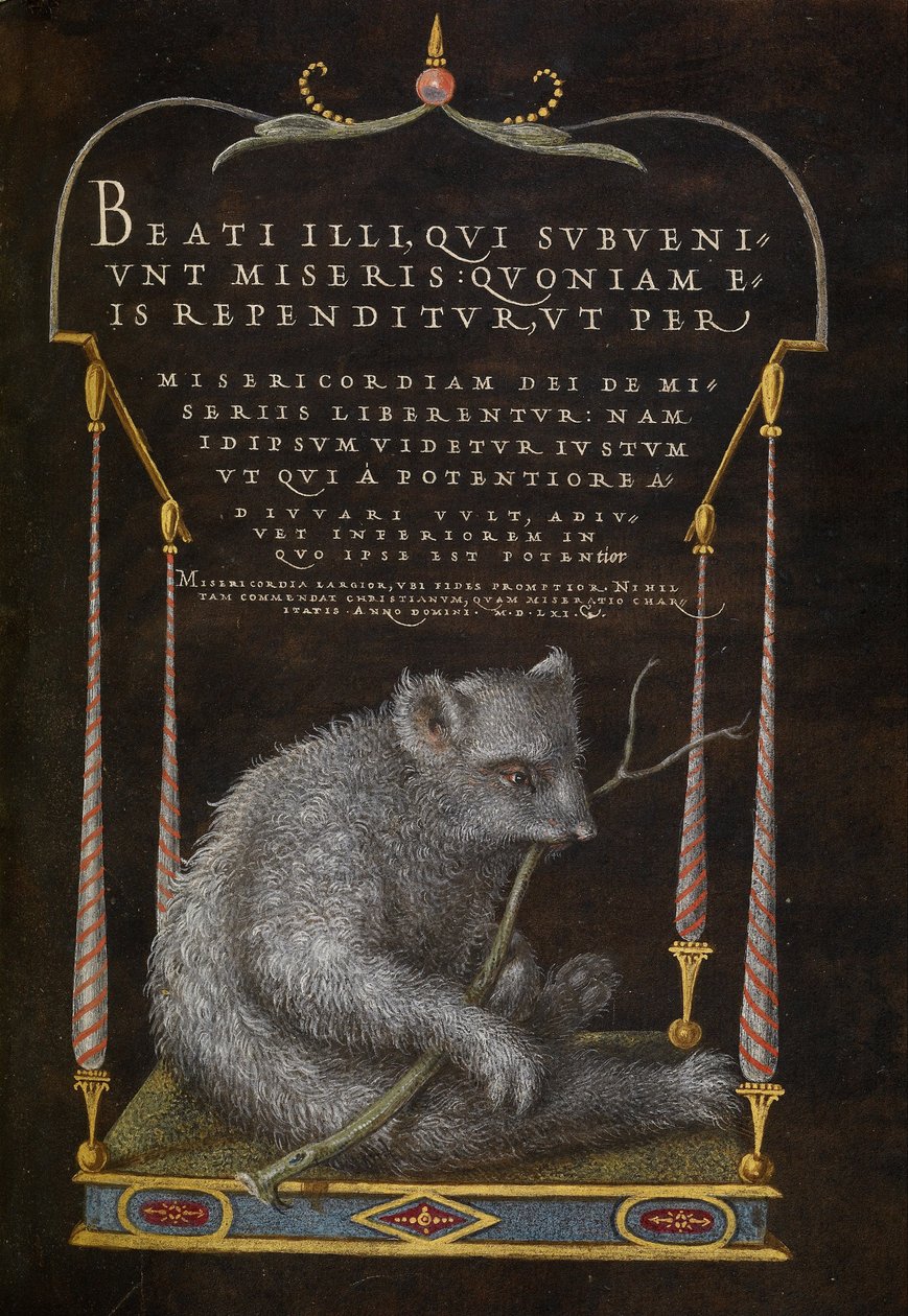 Ein Faultier von Joris Hoefnagel