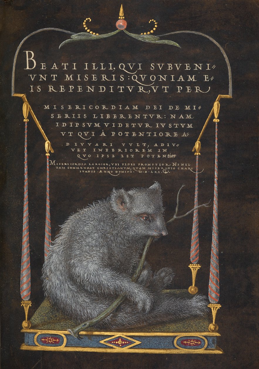 Ein Faultier von Joris Hoefnagel