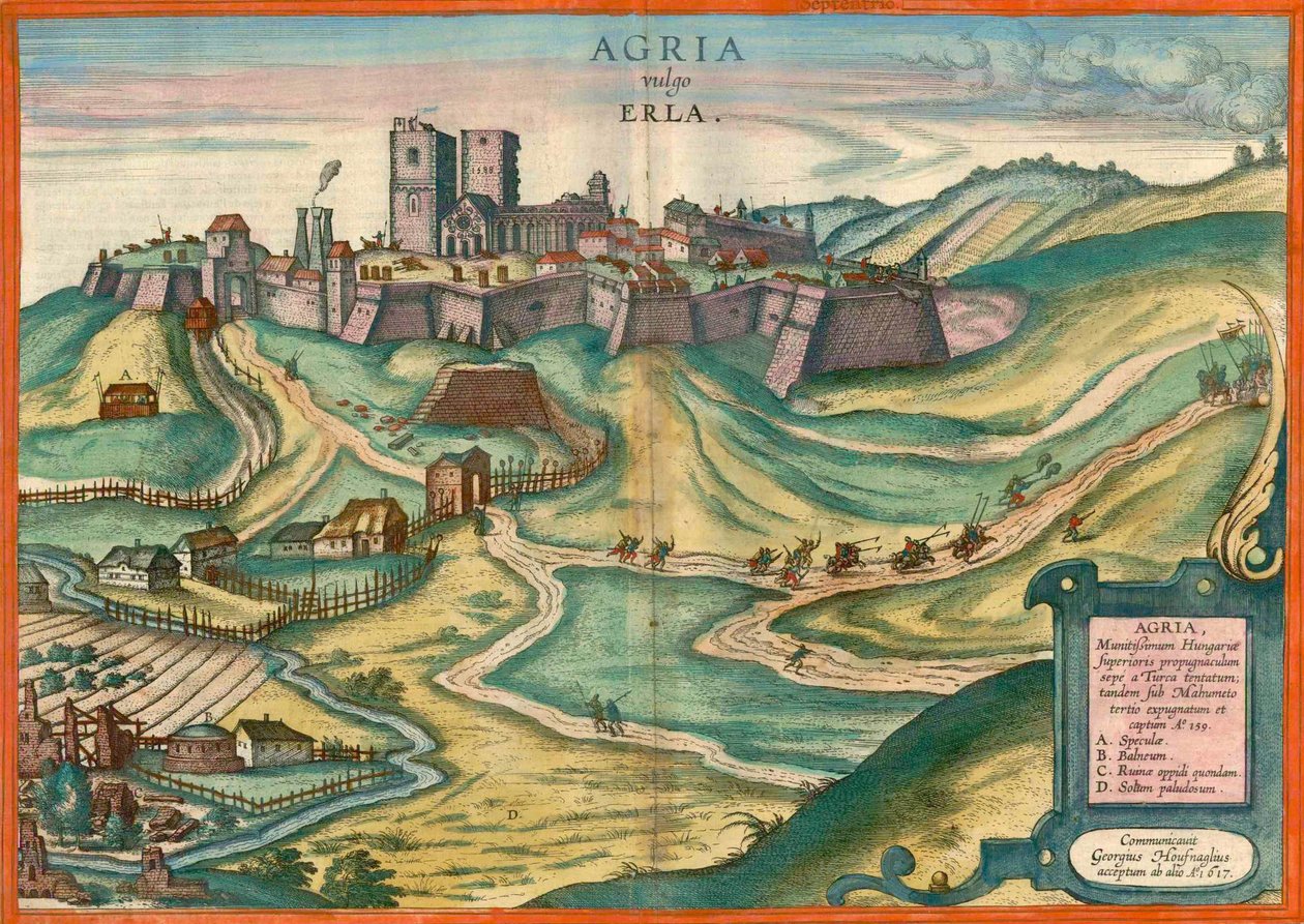 Agria vulgo Erla von Joris Hoefnagel