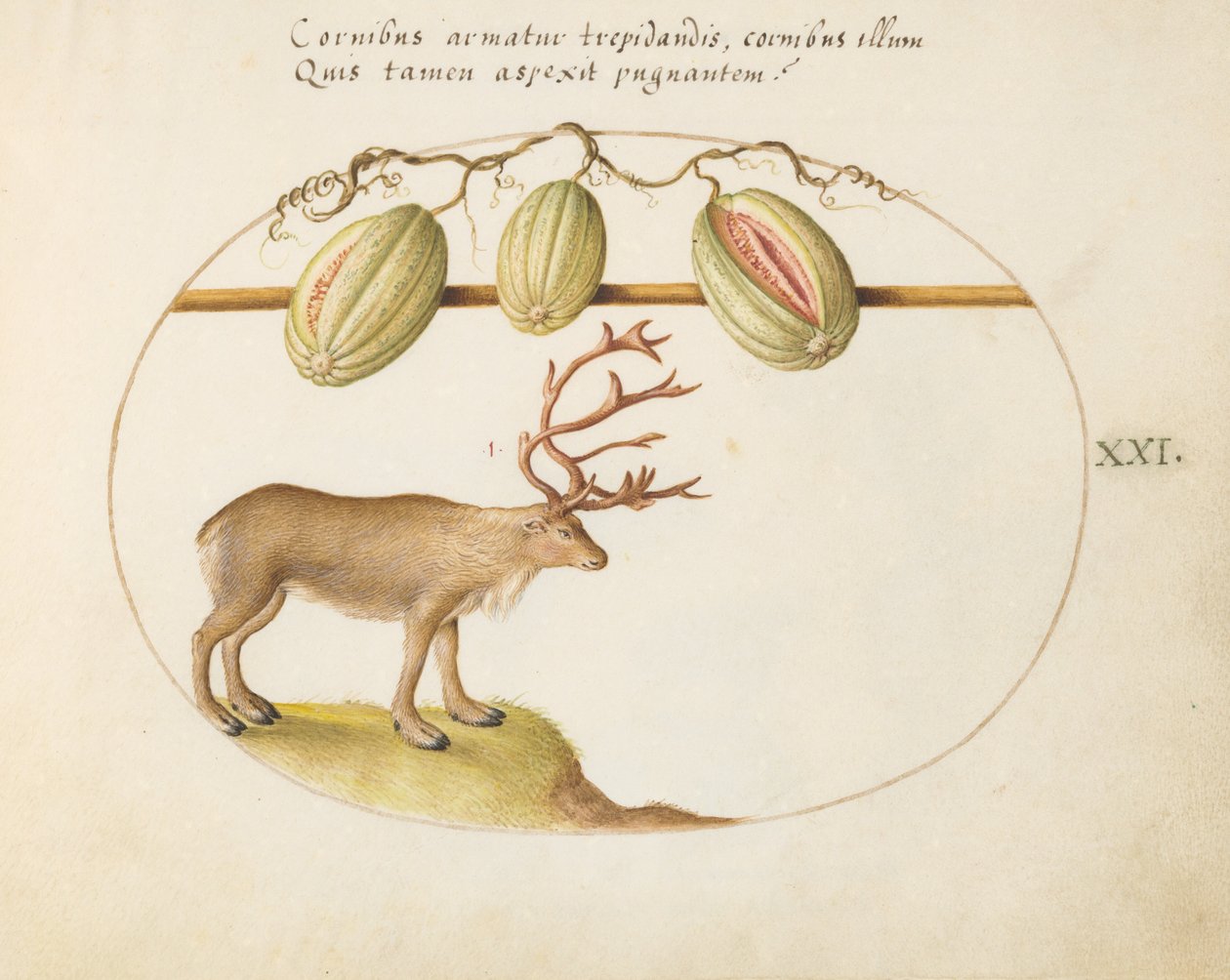 Teller 21: Rentiere mit Melonen von Joris Hoefnagel