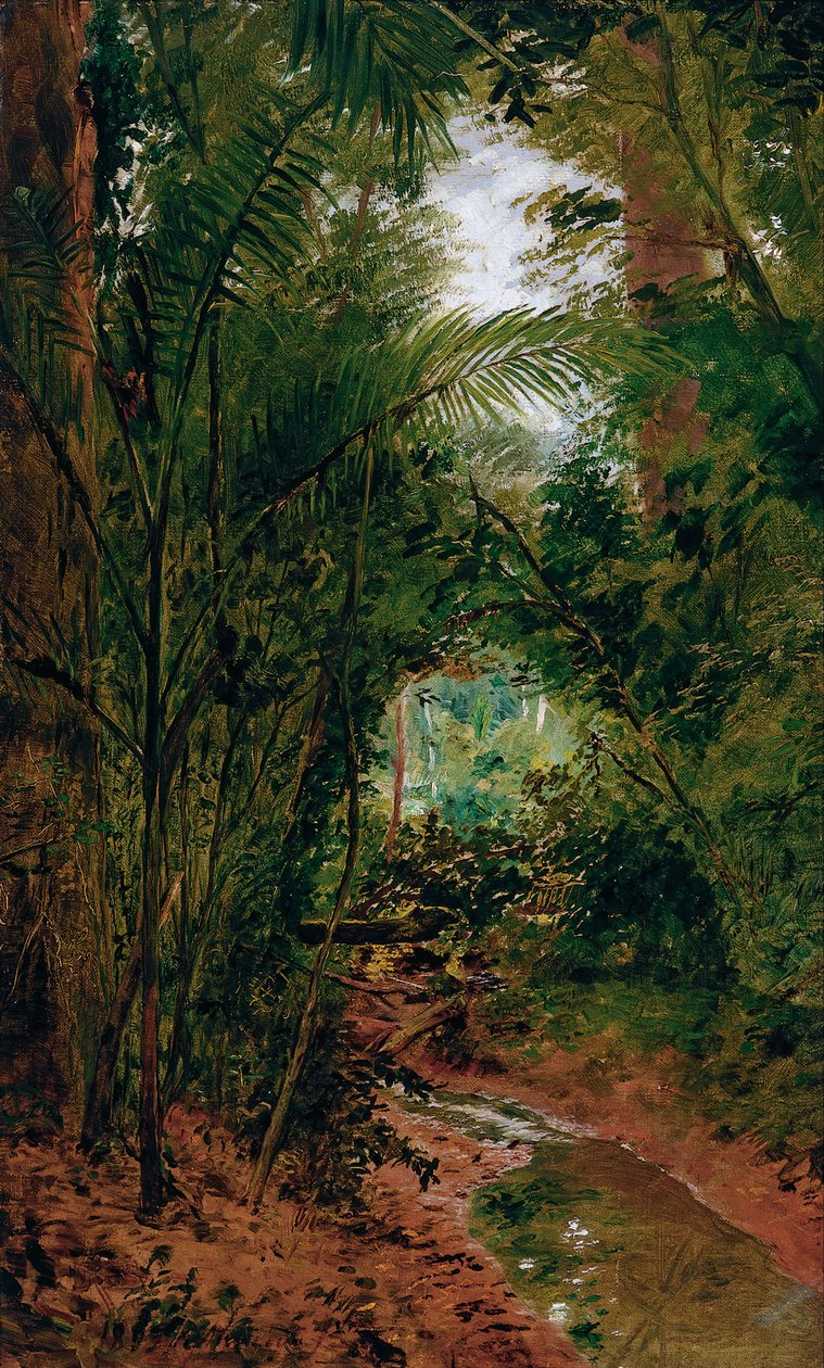 Landschaft am Rio das Pedras von Jose Ferraz Almeida de Junior