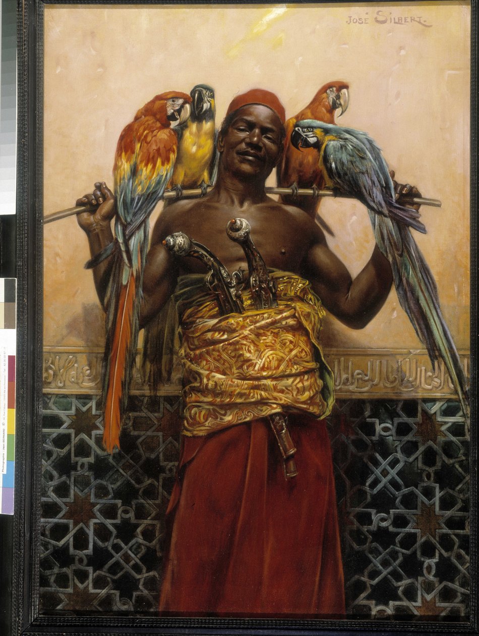 Kakadu Montreker von Jose Silbert