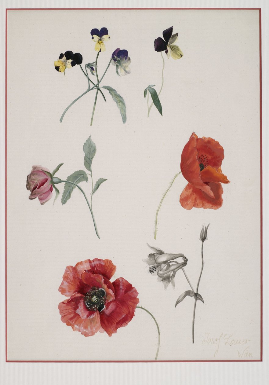Blumen von Josef Lauer