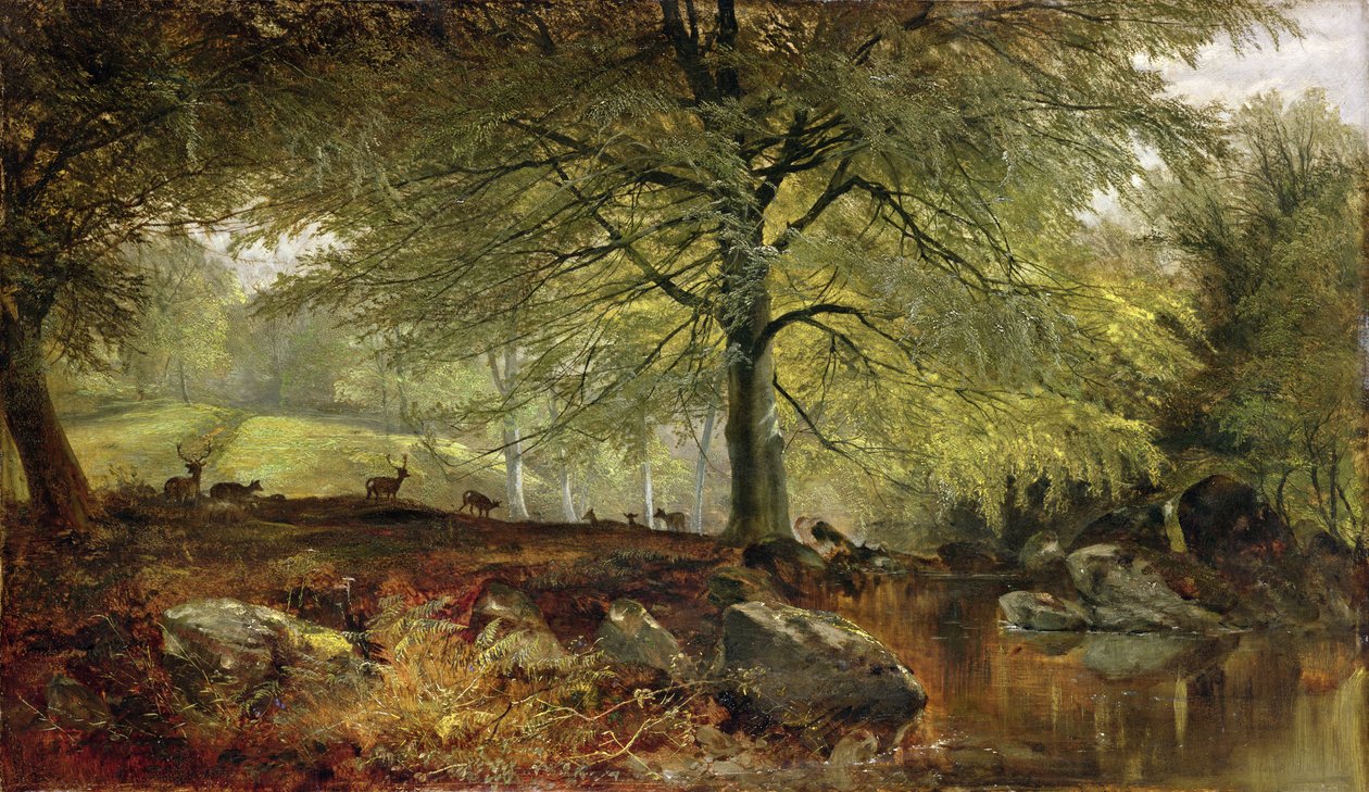 Hirsche im Wald von Joseph Denovan Adam
