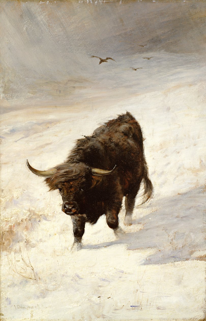 Schwarzes Biest Wanderer von Joseph Denovan Adam