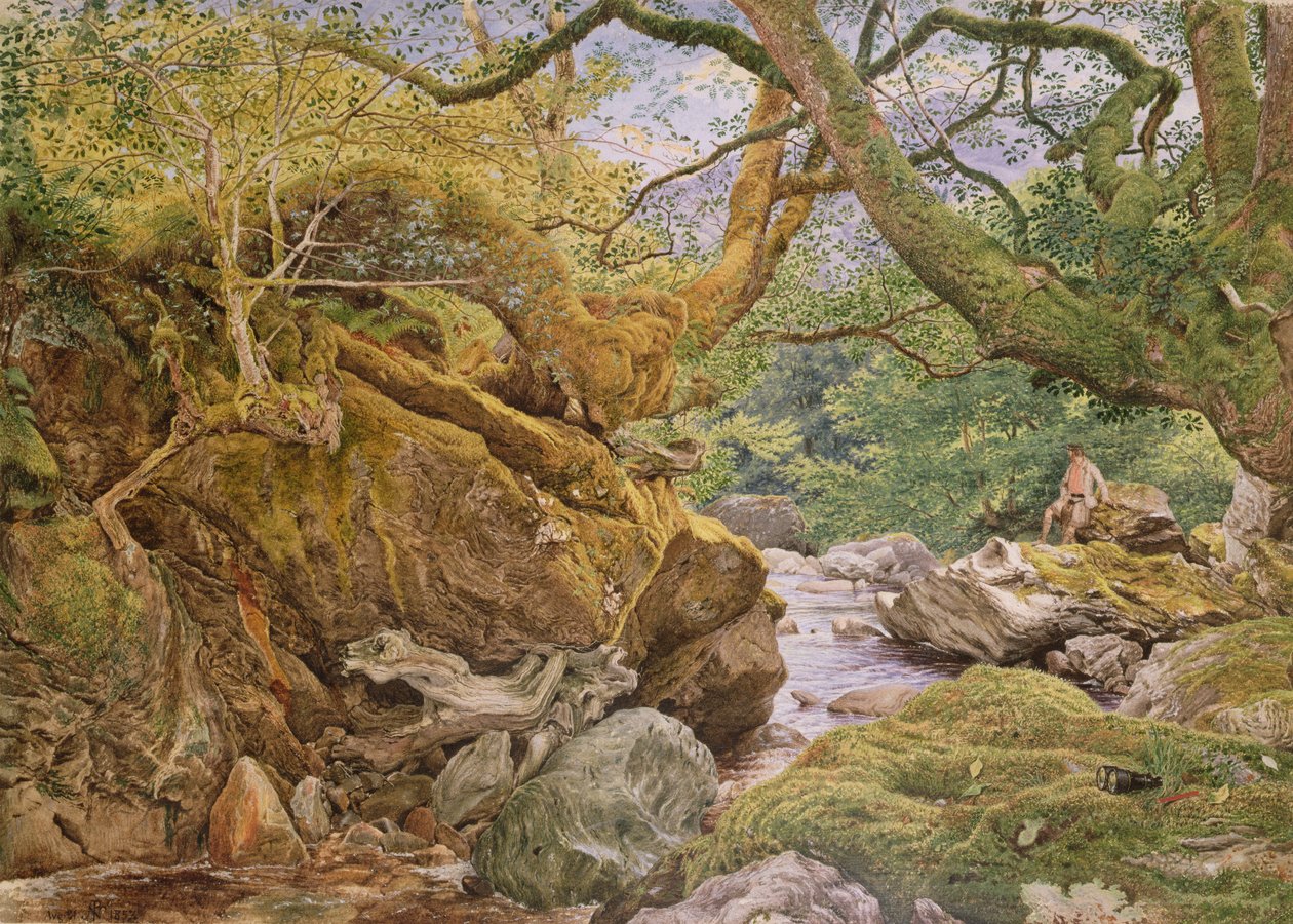 Studie aus der Natur: Inveruglas, 1857 von Joseph Noel Paton