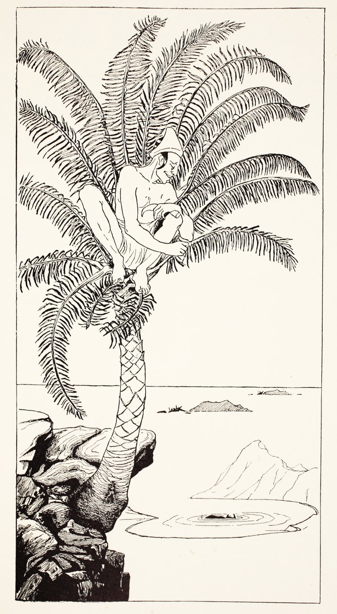 Pestonjee Bomonjee sitzt in seiner Palme und beobachtet die Nashornstörche beim Baden, Illustration aus 