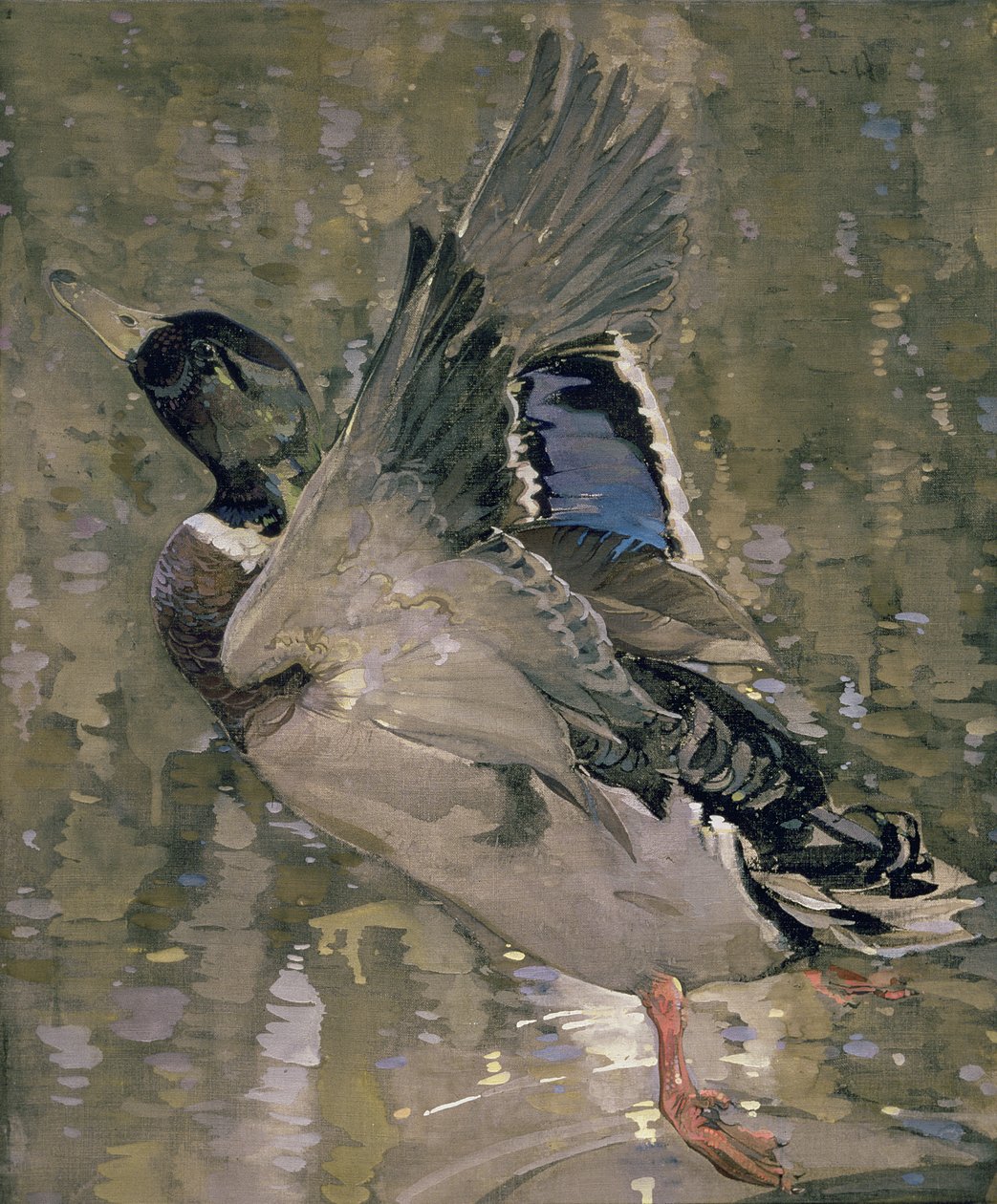Aufsteigender Stockente von Joseph Crawhall