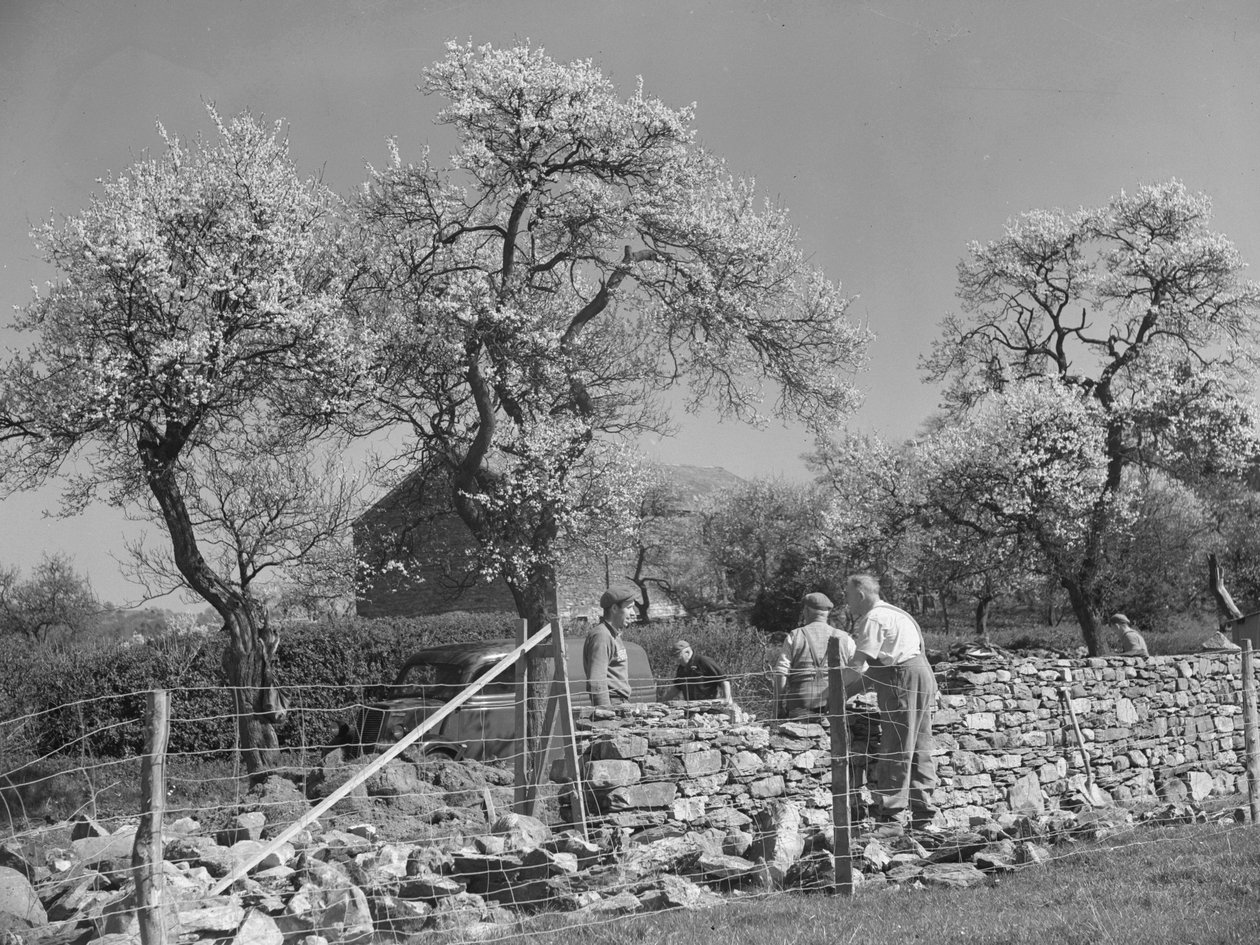 Mauerer arbeiten an Trockenmauer von Joseph Hardman