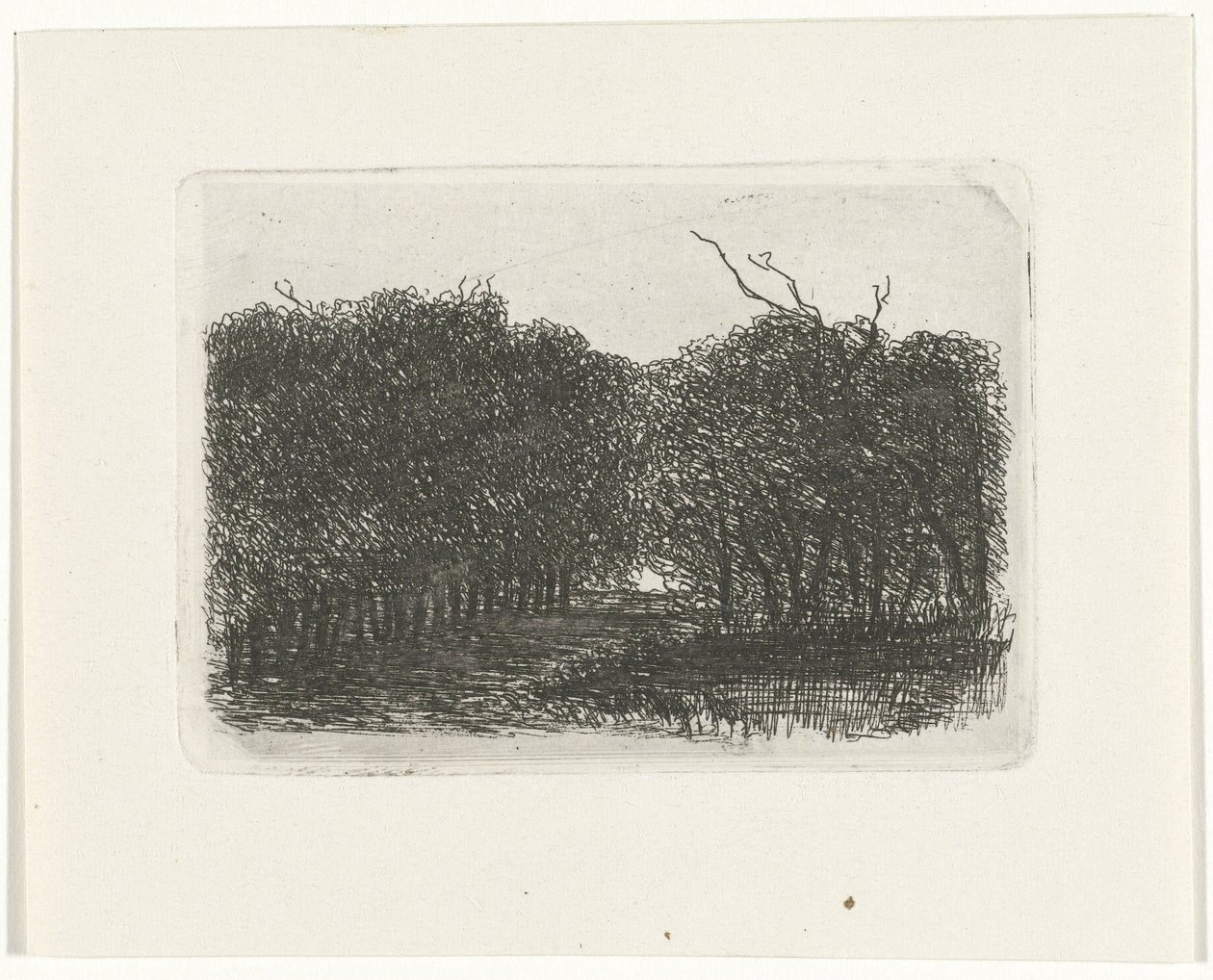 Waldansicht von Joseph Hartogensis